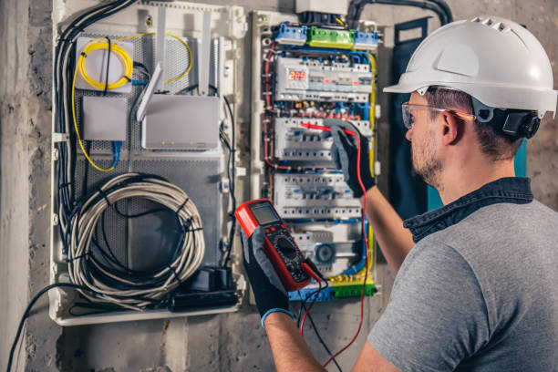 Best Electric Panel Repair  in Sebastian, TX